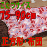 こたつ布団 正方形 620G(こたつサイズ75-90cm用)