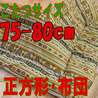 こたつ布団 正方形 631B(こたつサイズ75-80cm用)