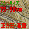 こたつ布団 正方形 631B(こたつサイズ75-90cm用)