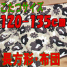 こたつ布団 かわいい 長方形 626D(こたつサイズ120-135cm用)