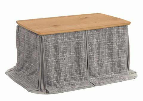 dining_kotatsu_rifuto_na_5.jpg